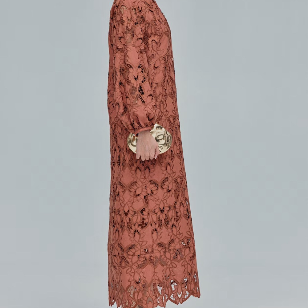 Elegant Brown Lace Dress - Picture 3 of 6